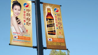 中韓移動(dòng)飲品品牌視覺(jué)形象與廣告設(shè)計(jì)綜合方案